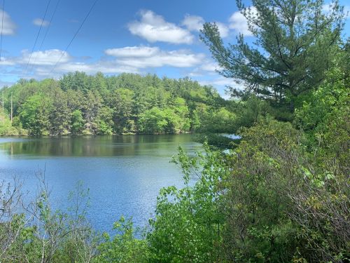 A serene lake surrounded by lush green trees and a clear blue sky with fluffy clouds.