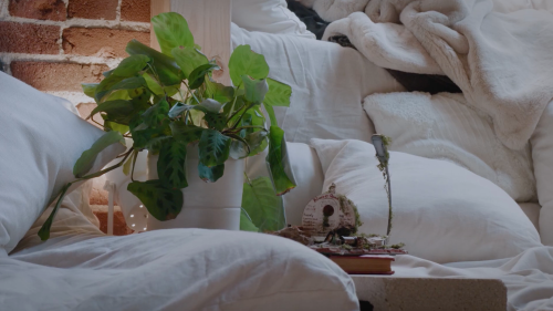 A cozy scene featuring a potted plant, a decorative item, and soft white bedding in a warm, inviting space.