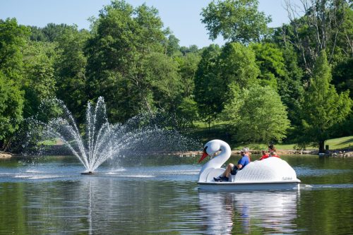 A swan-shaped paddle boat glides on a calm lake, with a fountain spraying water in the background and lush greenery surrounding.