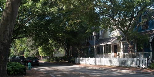 A quiet street lined with trees and charming houses, featuring a white picket fence and parked cars.
