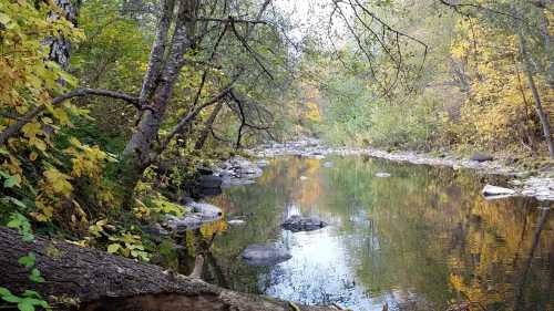 A serene river flows through a forest with autumn foliage, reflecting colorful trees and rocks in the calm water.