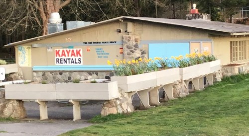 A building with a sign for "Kayak Rentals," featuring flower planters and surrounded by greenery.