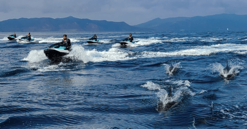 A group of jet skiers rides through blue waters, with dolphins leaping nearby against a mountainous backdrop.