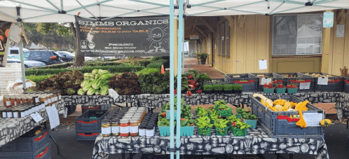 A farmers market stand with fresh produce, jars of preserves, and a banner for Simms Organics under a canopy.