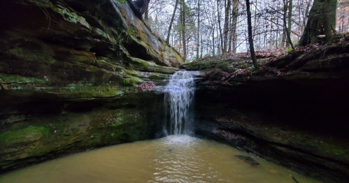 A serene waterfall cascades into a calm pool, surrounded by mossy rocks and trees in a tranquil forest setting.