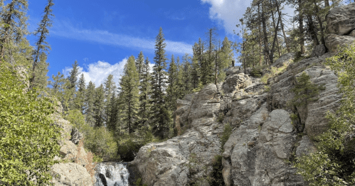 A serene landscape featuring a waterfall surrounded by rocky terrain and tall pine trees under a blue sky.