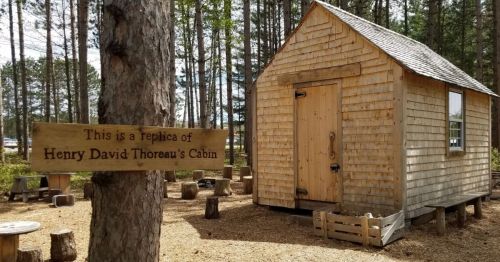 A wooden cabin surrounded by trees, with a sign stating it's a replica of Henry David Thoreau's cabin.