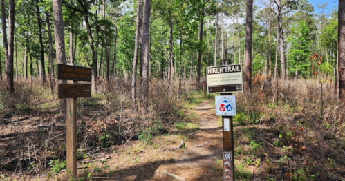 A wooded area with a hiking trail sign and another sign indicating a nearby trailhead, surrounded by trees.