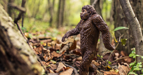 A toy Bigfoot figure walking through a forest floor covered in leaves and twigs.