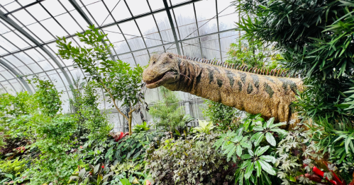 A dinosaur sculpture among lush greenery in a greenhouse, with a glass roof and misty background.