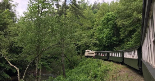 A vintage train winds through lush green trees alongside a serene creek.