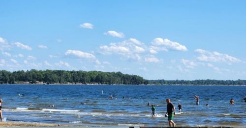 A sunny beach scene with people swimming and playing in the water, surrounded by trees and a clear blue sky.