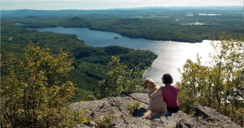 A person sits on a rock with a dog, overlooking a scenic lake and lush green landscape.