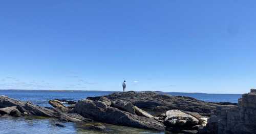 A person stands on a rocky shore, gazing out at the calm blue ocean under a clear sky.