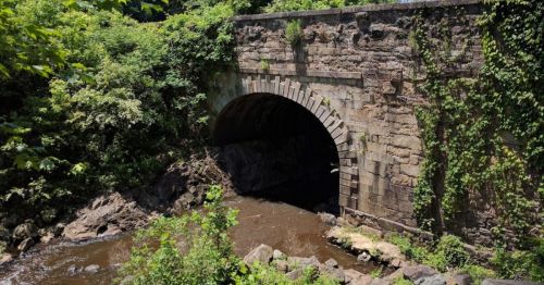 A stone bridge arching over a small, muddy stream, surrounded by lush greenery and rocks.