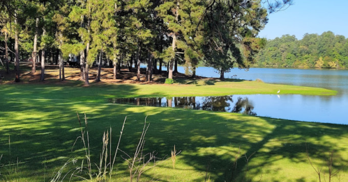 A serene lakeside view with lush green grass, trees, and calm water reflecting the surroundings.