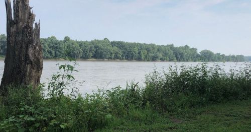 A calm river flows beside a lush green bank, with trees lining the opposite shore under a clear sky.