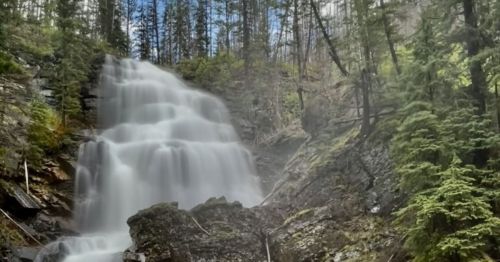 A cascading waterfall surrounded by lush greenery and tall trees under a partly cloudy sky.