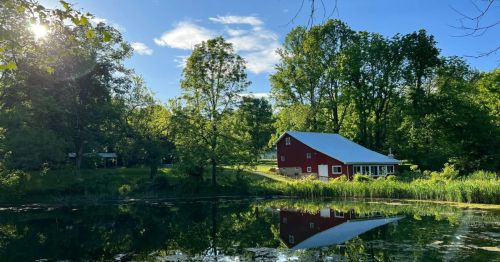 A red barn reflects in a calm pond, surrounded by lush green trees and a bright blue sky.