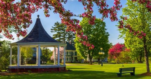 A picturesque park scene featuring a gazebo surrounded by blooming trees and lush green grass under a clear blue sky.