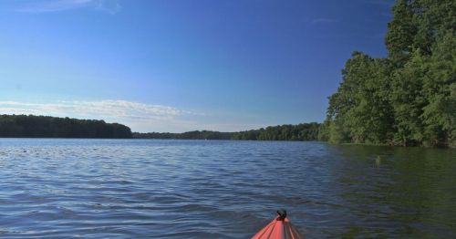 A kayak on a calm lake surrounded by lush green trees under a clear blue sky.