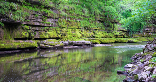 Lush green moss-covered cliffs reflect in a calm river surrounded by trees and natural scenery.