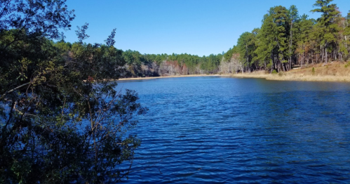 A serene lake surrounded by trees under a clear blue sky, reflecting the calm water.