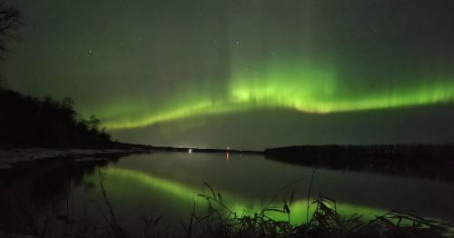 A serene night scene featuring the Northern Lights reflecting on a calm lake, surrounded by dark trees.