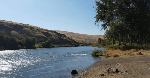 A serene river flows through a landscape of hills and trees under a clear blue sky.