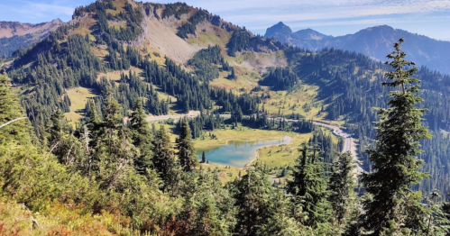A scenic view of a lush green valley with a small lake, surrounded by mountains and dense evergreen trees.