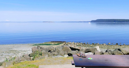 A calm waterfront scene with a picnic table, rocky shore, and clear blue water under a bright sky.