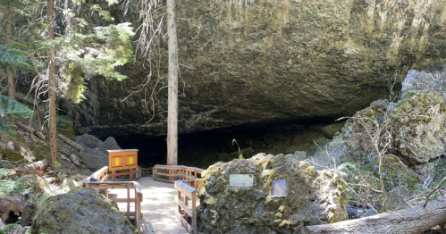 A wooden bridge leads to a dark cave entrance, surrounded by trees and rocky terrain.