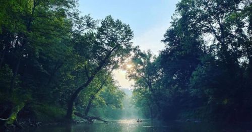 A serene river scene with lush trees, sunlight filtering through, and two people kayaking in the distance.