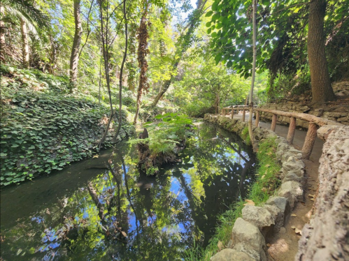 A serene pathway alongside a calm stream, surrounded by lush greenery and trees reflecting in the water.