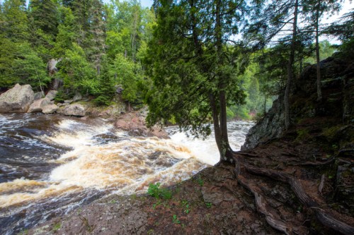 A rushing river flows through a lush green forest, with rocky banks and trees lining the water's edge.