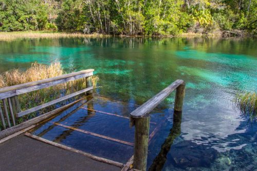 A serene view of a clear, turquoise lake surrounded by lush greenery and a wooden dock extending into the water.