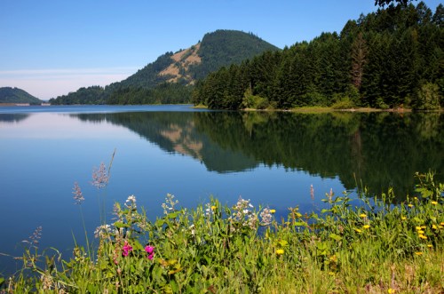 A serene lake surrounded by lush greenery and wildflowers, reflecting a mountain under a clear blue sky.