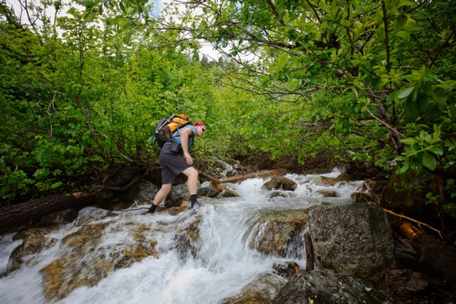 A hiker crosses a rocky stream surrounded by lush greenery and trees.