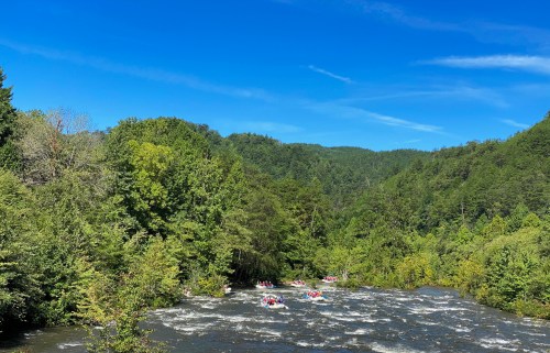 A group of people rafting on a river surrounded by lush green trees and a clear blue sky.
