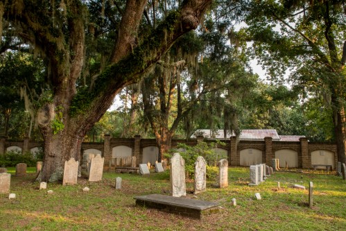 A serene cemetery with weathered gravestones, surrounded by lush trees and moss, under soft sunlight.