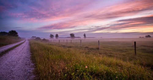 A gravel road winds through a misty field at sunrise, with vibrant pink and purple clouds in the sky.