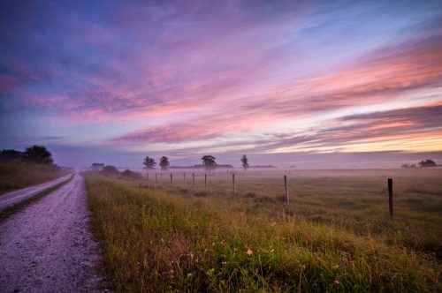 A gravel road winds through a misty field at dawn, with colorful clouds and trees in the distance.