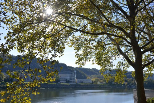 Sunlight filters through green leaves, reflecting on a calm river with a distant building and hills in the background.