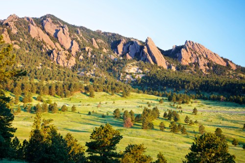 A scenic view of rocky mountains rising above a lush green meadow, with trees scattered throughout the landscape.