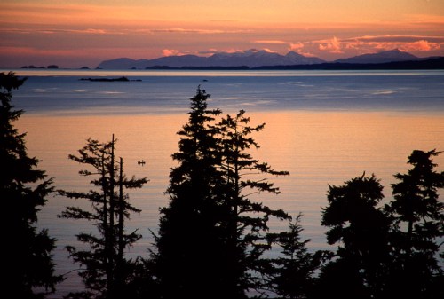 Silhouetted trees frame a tranquil sunset over calm waters, with distant mountains under a colorful sky.