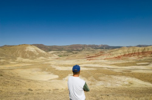 A person stands overlooking a vast, colorful desert landscape under a clear blue sky.