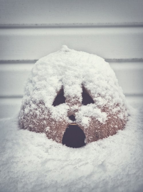 A snow-covered clay pot with a small entrance, resembling a cozy shelter, sits on a snowy surface.