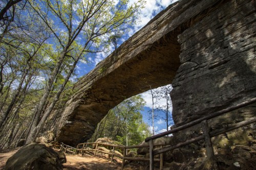 A natural stone arch surrounded by trees and blue sky, with a path and wooden railing in the foreground.