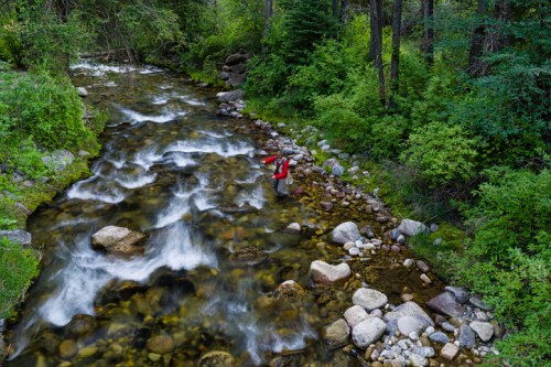 A person in red stands in a clear stream surrounded by lush greenery and smooth stones. Water flows gently around them.
