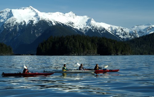 Four kayakers paddle on a calm lake surrounded by snow-capped mountains and lush green forests.